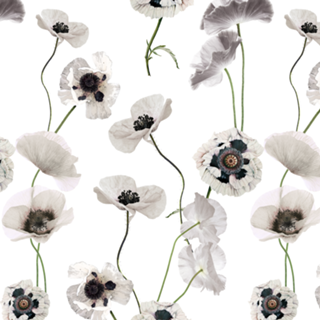 WHITE POPPY