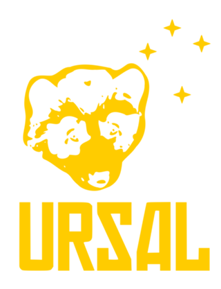 Urso de óculos