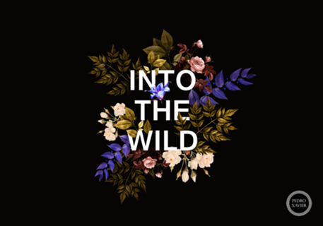 Into The Wild