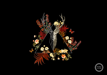 Geometric Deer