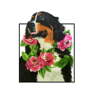 Bernese