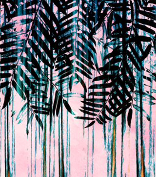 FOLIAGE