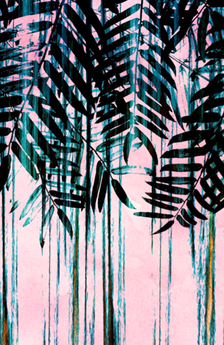 FOLIAGE