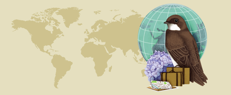 Little World Traveler