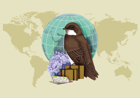 Little World Traveler