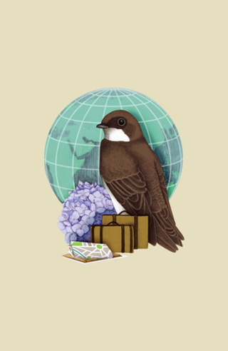 Little World Traveler