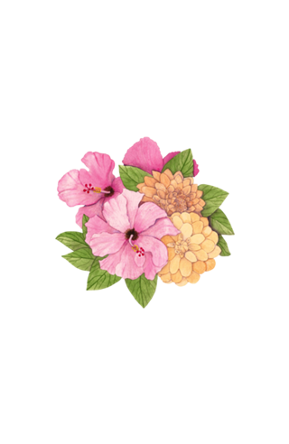 Hibiscos