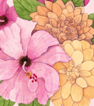 Hibiscos