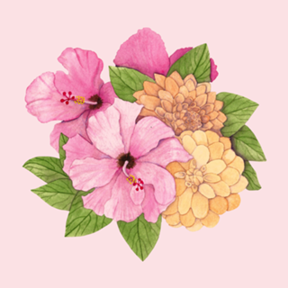 Hibiscos