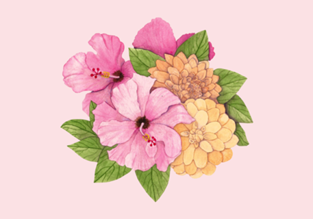 Hibiscos
