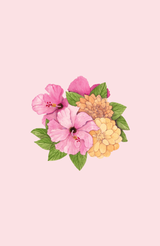 Hibiscos