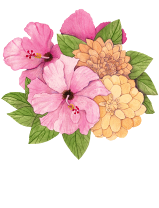 Hibiscos