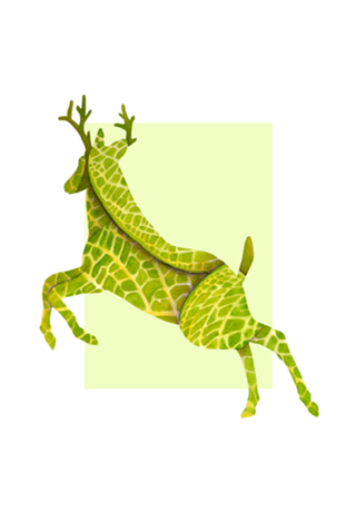 Veado
