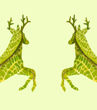 Veado