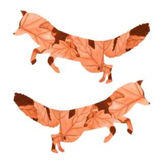 Raposa