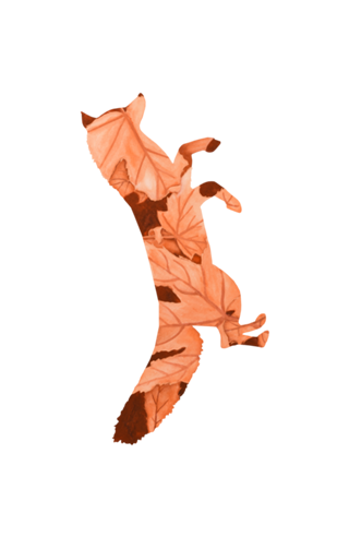 Raposa