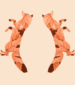 Raposa