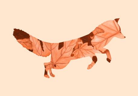 Raposa