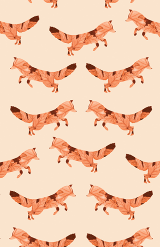 Raposa