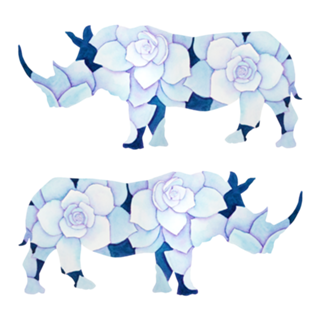 Rinoceronte