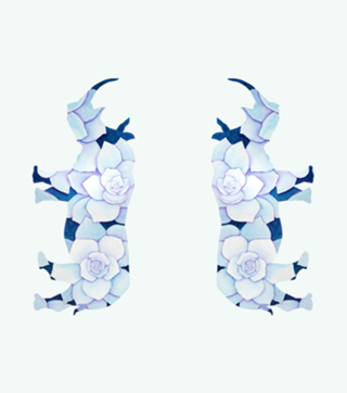 Rinoceronte