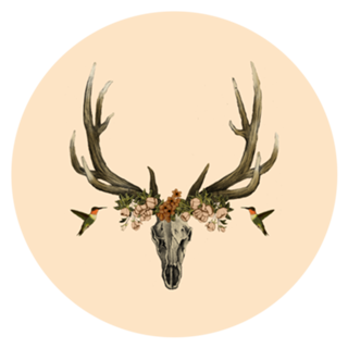 My Design
