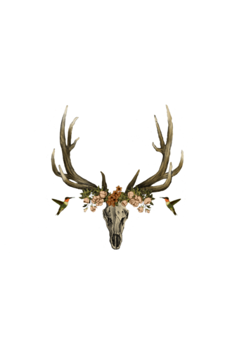 My Design