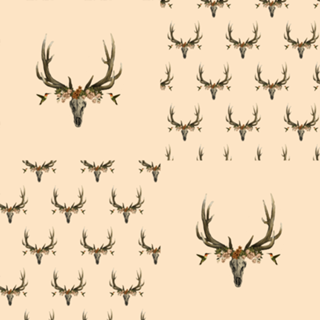 My Design