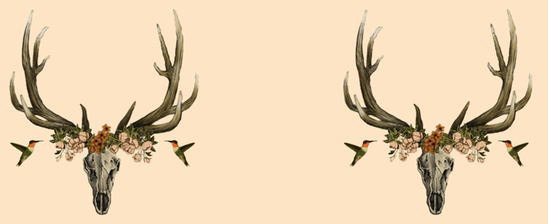 My Design