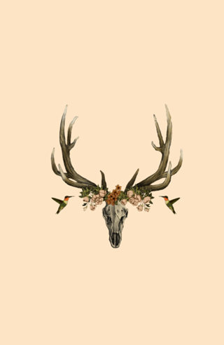 My Design