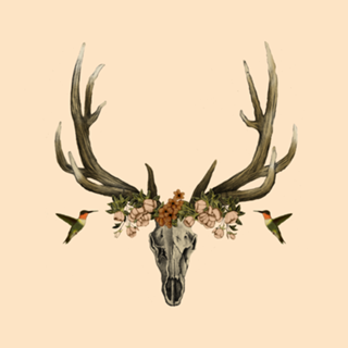 My Design