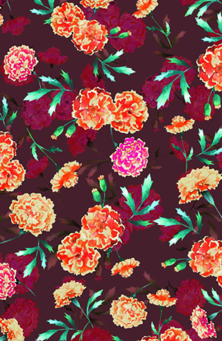 Sweet Marigold