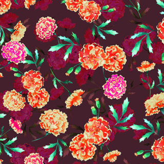 Sweet Marigold