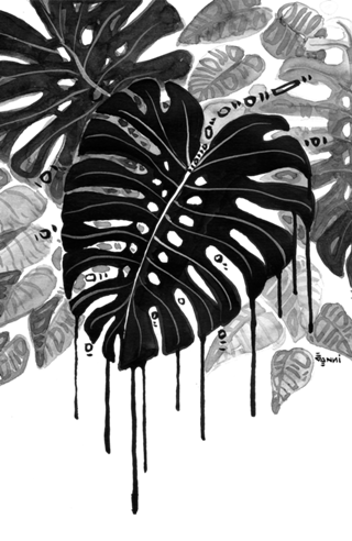 Black and white garden