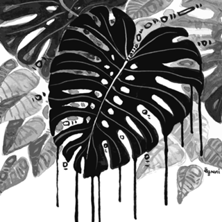 Black and white garden