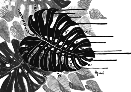 Black and white garden