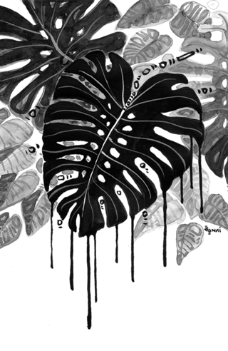 Black and white garden