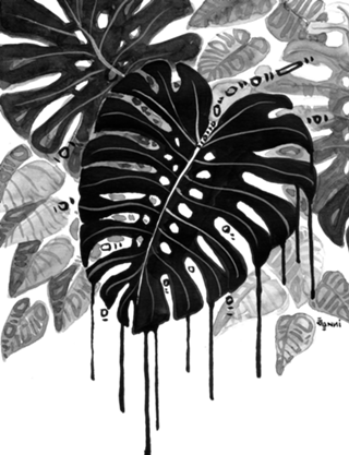 Black and white garden