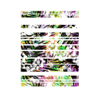 Flor Palm