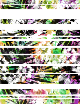 Flor Palm