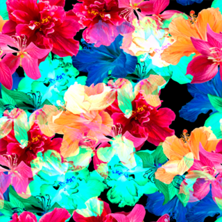 Hibiscus Fest