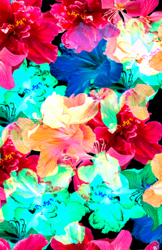 Hibiscus Fest