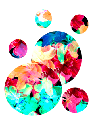 Hibiscus Fest