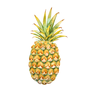 Pineaple