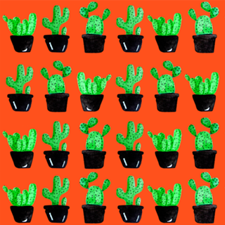  CACTUS