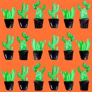  CACTUS