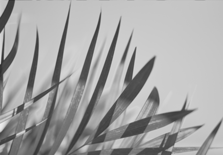 Botanical (04)