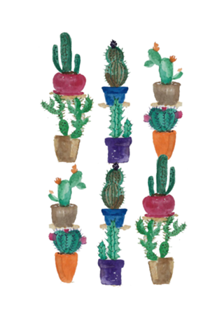 Cactus