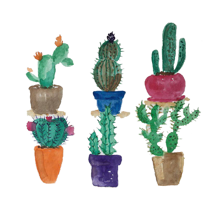 Cactus