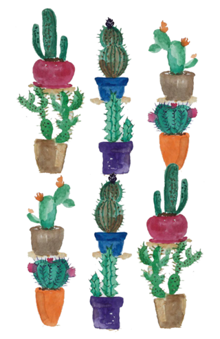 Cactus